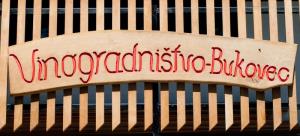 Vinogradništvo Bukovec, foto Zvone Butala